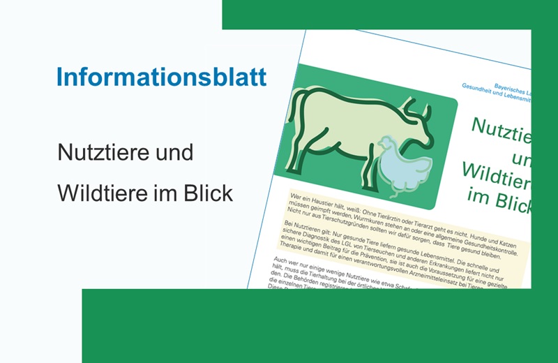 Medizinische Symbole auf blauem Hintergrund.