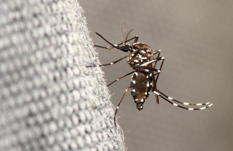 Junge mit bunten Reagenzgläschen. 