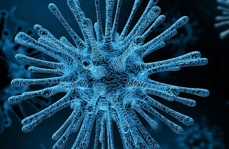 Das Bild zeigt Viren als blaue Kugeln mit vielen langen Stacheln.