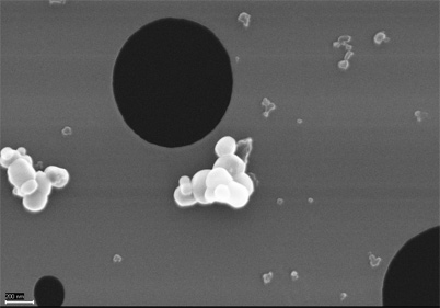 Abbildung xx2 zeigt eine elektronenmikroskopische Aufnahme von weißen bis hellgrauen Partikeln unterschiedlicher Größen. Die Partikel wurden auf speziellen Filtern aufgetragen, deren Poren tiefschwarz erscheinen. Zu sehen sind helle Partikelanhäufungen (sogenannte Agglomerate), die aus Titandioxid, einem weißen Farbpigment, bestehen und 200 bis 500 nm groß sind. Daneben sind auch deutlich kleinere Partikel mit Größen von 40 bis 60 nm zu sehen. Diese bestehen aus einem violetten organischen Farbstoff. 
