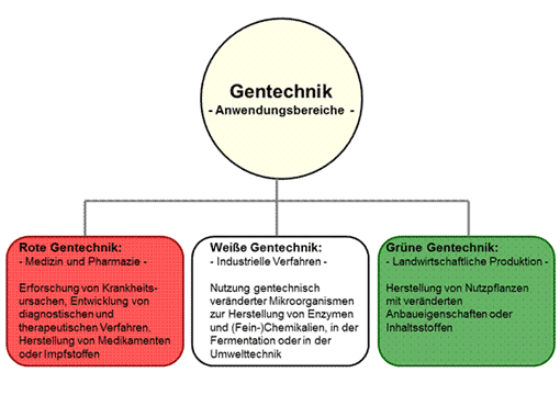 Grafik zu den Anwendungsbereichen der Gentechnik. Erklärung siehe im nachfolgenden Abbildungstext.