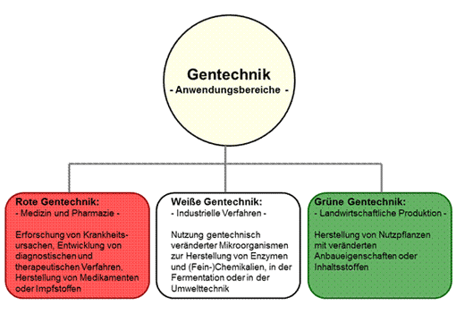 geschichte erfurt