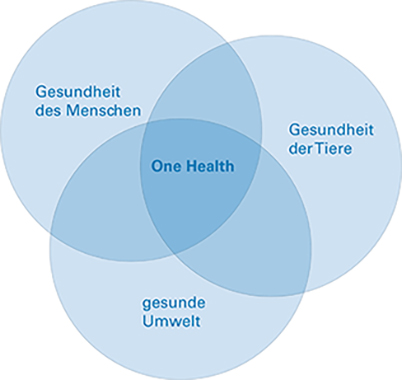 Das Diagramm zeigt drei sich überlappende blaue Kreise, die symbolisch für die Gesundheit des Menschen, die Gesundheit der Tiere und die gesunde Umwelt stehen. Der Überlappungsbereich ist als One Health bezeichnet.
