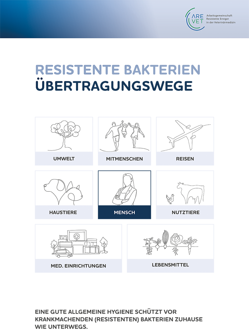 In unserem Alltag können wir in verschiedenen Bereichen und Situationen in Kontakt mit resistenten Bakterien kommen. Diese Wege der Verbreitung zeigt das Poster „Resistente Bakterien – Übertragungswege“ auf.