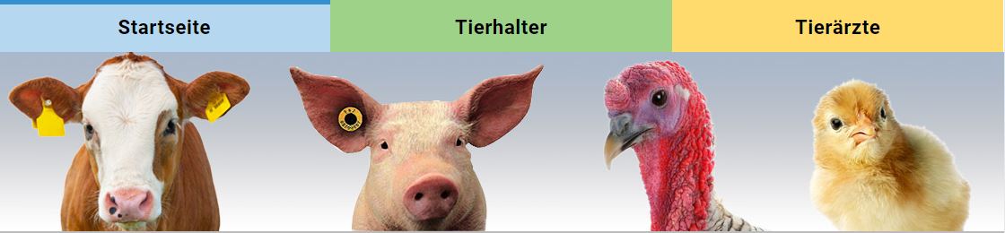 Es ist ein Bild der Homepage zur Umsetzung des Antibiotikaminimierungskonzeptes in Bayern zu sehen, auf dem die davon betroffenen Tierarten Rind, Schwein, Pute und Huhn zu sehen sind. Über farbliche Buttons kann neben der Startseite auch auf einen gesonderten Bereich für Tierhaltende und einen für die Tierärzteschaft zugegriffen werden.