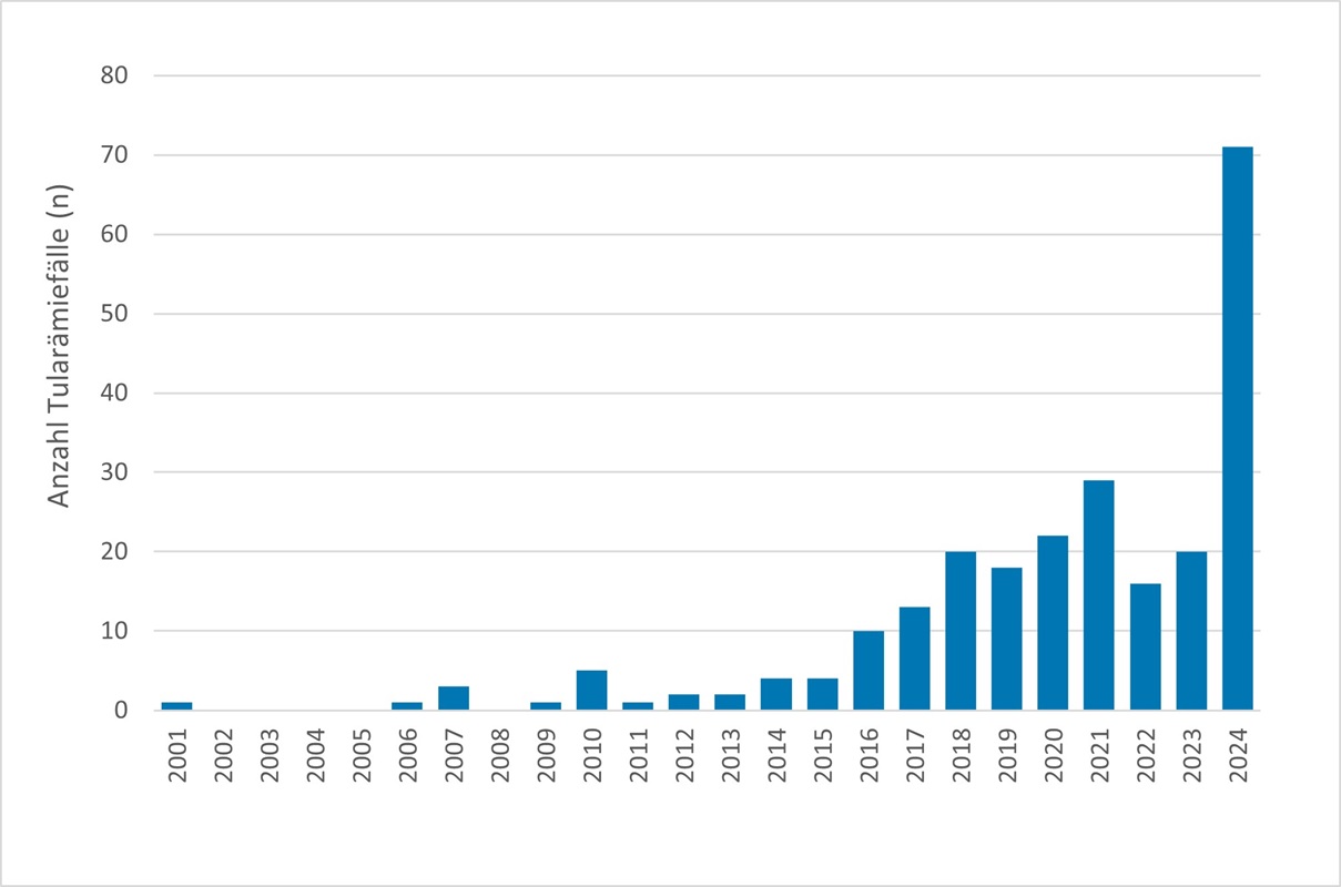 Abbildung 1 zeigt die nach Infektionsschutzgesetz übermittelten Fälle von Tularämie beim Menschen in Bayern pro Meldejahr. Dargestellt ist der Zeitraum 2001 bis 2024. Insgesamt wurden in diesem Zeitraum 243 Fälle übermittelt. Die Abbildung zeigt, dass es seit 2016 einen Anstieg der Fälle in Bayern gegeben hat. Im Jahr 2024 wurde mit einer Fallzahl von 71 ein neuer Rekord erreicht.