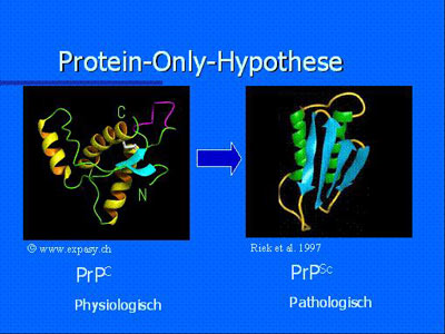 Bildliche Darstellung Protein-Only-Hypothese