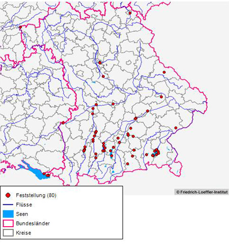 Die Abbildung  zeigt eine aus dem Tierseuchen-Nachrichtensystem (TSN) generierte Karte von Bayern. Rote Punkte markieren die Fundorte von mit HPAI-H5N8 infizierten Wildvögeln, deren Befunde durch das FLI bestätigt wurden.